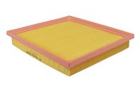 Article Picture