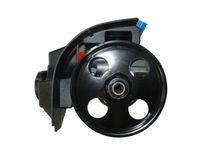 Hydraulikpumpe, Lenkung