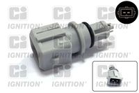 Sensor, Ansauglufttemperatur
