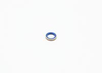 Blīve, Pamatlukturu rāmis