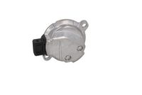Article Picture
