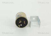 TRISCAN Knipperlichtautomaat, pinkdoos 2