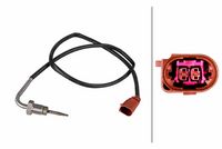 Sensor, Abgastemperatur