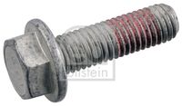 Schraube, Bremssattel