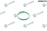 Dichtung, Drosselklappenstutzen