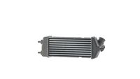 Thumbnail - Intercooler, inlaatluchtkoeler - CI693000S - MAHLE