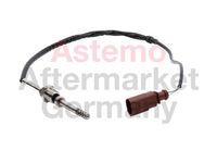 Sensor, Abgastemperatur