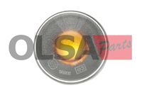 OLSA Aftermarket Knipperlicht 1