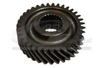 ROATA DINTATA ARBORE INTRARE CUTIE