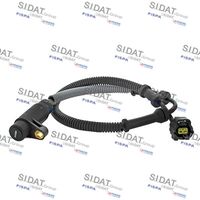 Sensor, Raddrehzahl