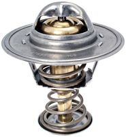 Thermostat, Kühlmittel