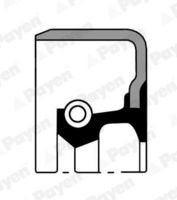 Wellendichtring, Radnabe