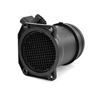 DELPHI Luchtmassameter 5