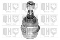 Trag-/Führungsgelenk