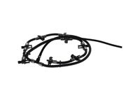 Schlauch, Leckkraftstoff