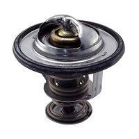 Thermostat, Kühlmittel