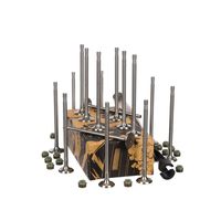 Thumbnail - Kleppenset, in-/uitlaatklep - VS0006VR1 - ET ENGINETEAM