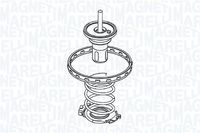 Thermostat, Kühlmittel