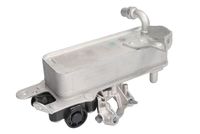 Radiator ulei, ulei motor THERMOTEC, Cod: D4B041TT