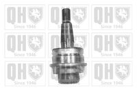 Trag-/Führungsgelenk