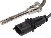Sensor, Abgastemperatur