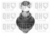 Trag-/Führungsgelenk