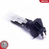 Article Picture