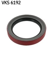 Wellendichtring, Radnabe