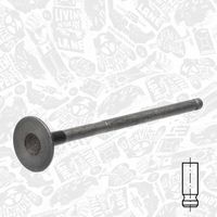 Thumbnail - Uitlaatklep - VE0129 - ET ENGINETEAM