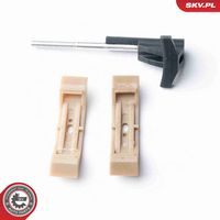 Article Picture