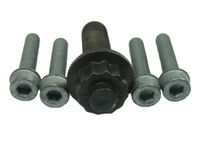 Bolt Set, crankshaft pulley