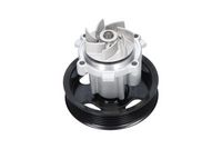 водна помпа, охлаждане на двигателя