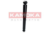 Article Picture