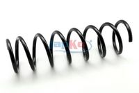 Arc spiral JAPKO, Cod: ZCJ6655A