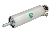 PNEUMATICS Hulpcilinder, motorrem 1