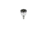 Article Picture