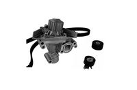 Set pompa apa + curea dintata AIRTEX, Cod: WPK-185702