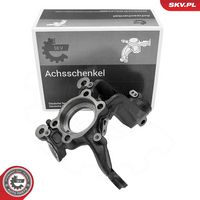 Steering Knuckle, wheel suspension