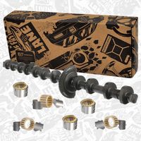 ARBORE EXCENTRIC REGLAREA ARBORELUI CU CAME