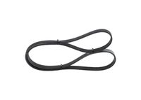 V-ribbed Belt