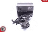 Steering Knuckle, wheel suspension