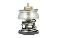 Thermostat, Kühlmittel