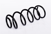Arc spiral ASAM AUTOMOTIVE, Cod: 73752