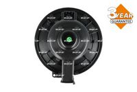 Article Picture