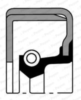 Wellendichtring, Differential