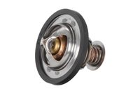 Thermostat, Kühlmittel