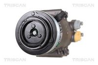 Compresor, climatizare TRISCAN, Cod: 9020 16030