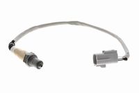 ламбда-сонда