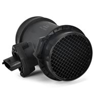 DELPHI Luchtmassameter 6