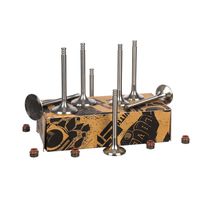 Thumbnail - Kleppenset, in-/uitlaatklep - VS0009 - ET ENGINETEAM